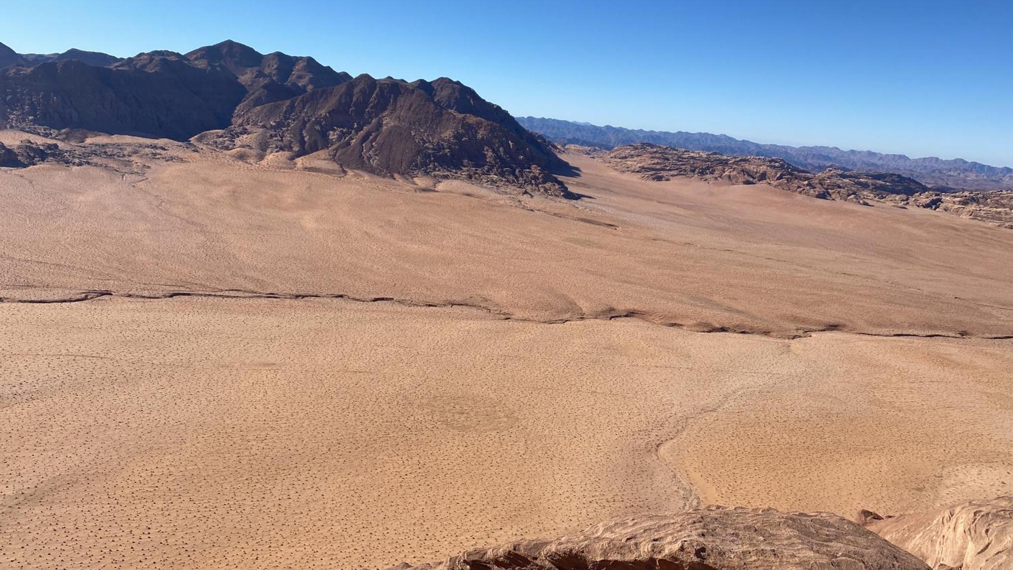 ホテル Desert Hawk ワディ ・ラム エクステリア 写真